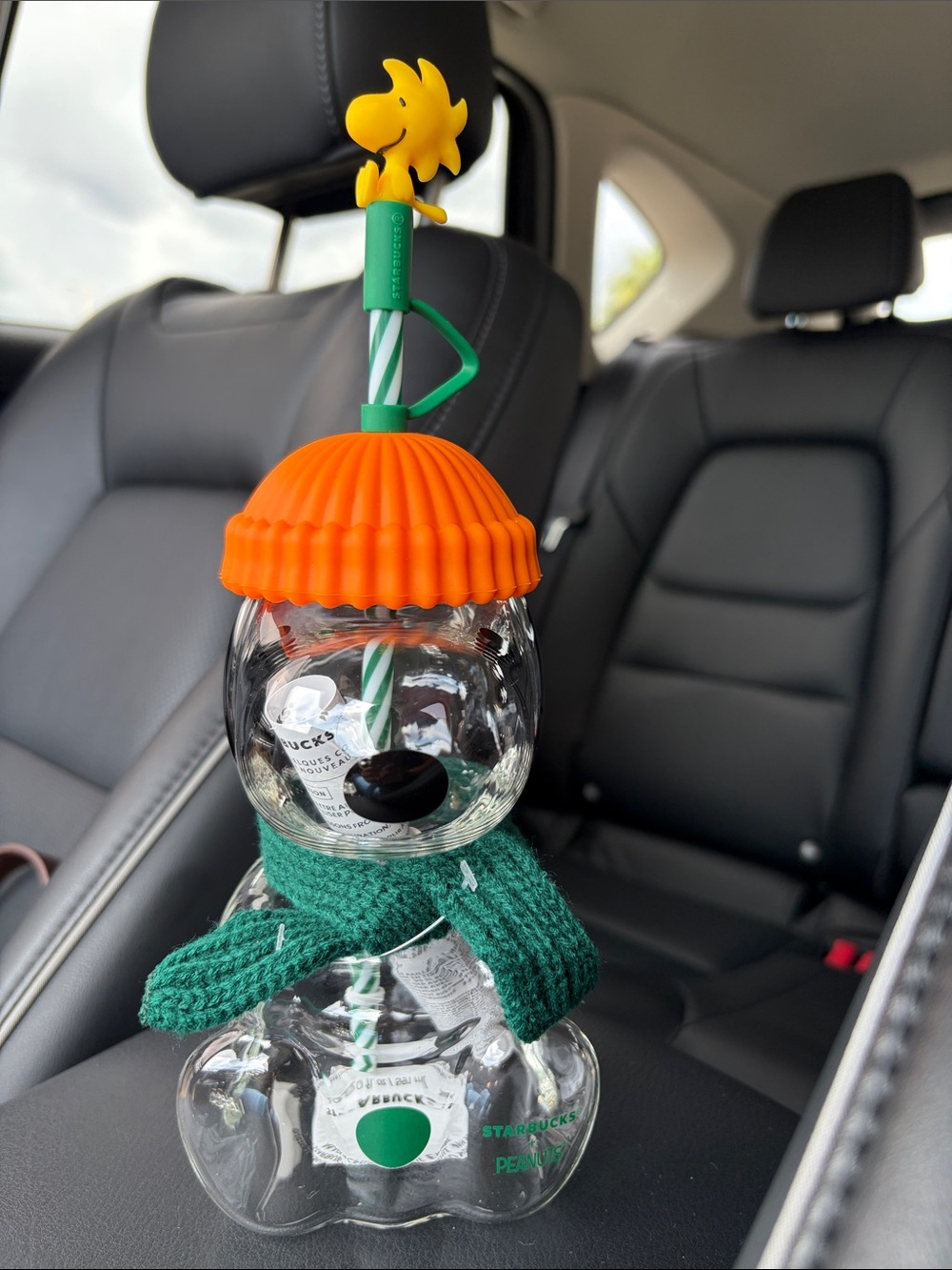 Starbucks Snoopy Cup with Woodstck Topper (send me any offers!!!)